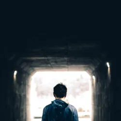 optimists-cynics-look-deeper
