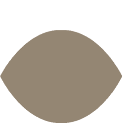 the seer icon