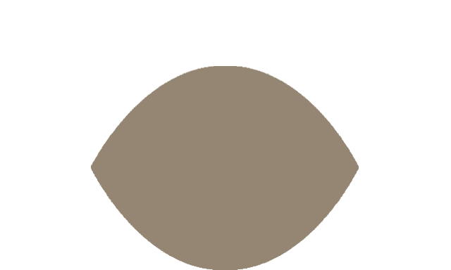 the seer icon